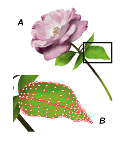 vector graphics examples